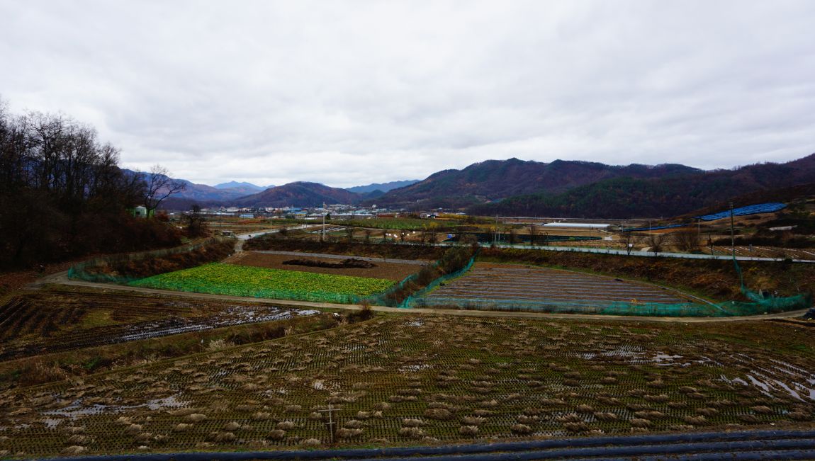 DSC05184.JPG