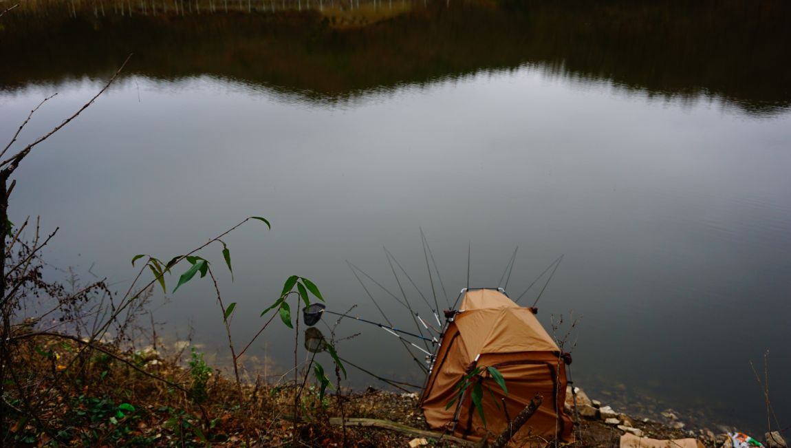 DSC05389.JPG