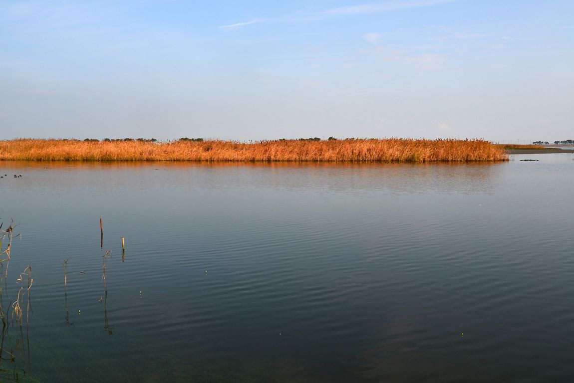 KJS_8819.jpg