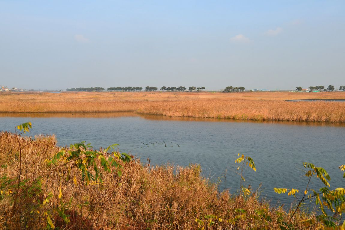 KJS_8824.jpg