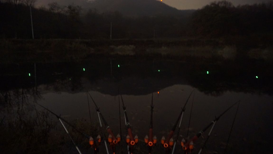 DSC05530.JPG