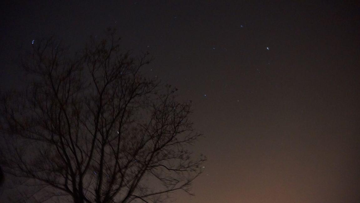 DSC05540.JPG