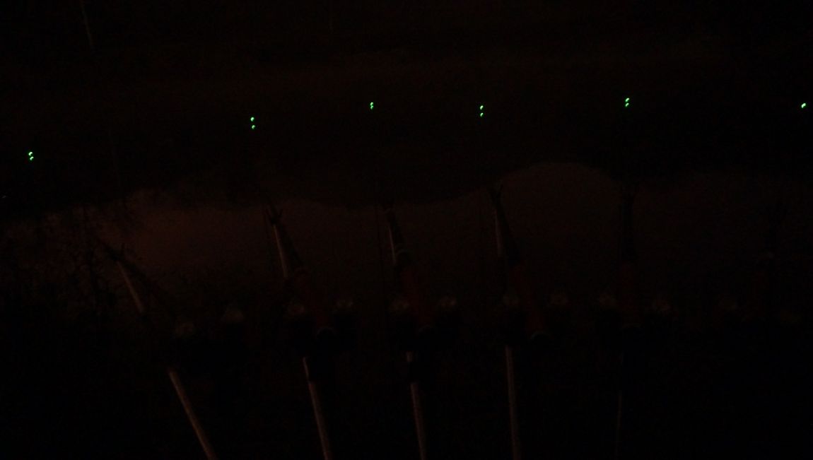 DSC05541.JPG