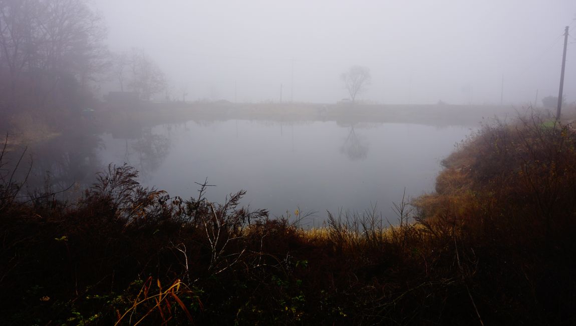 DSC05571.JPG