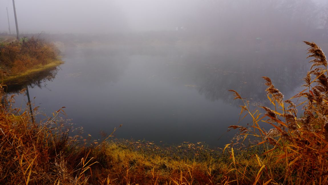 DSC05578.JPG