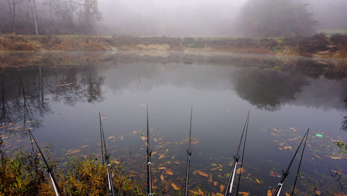DSC05580.JPG