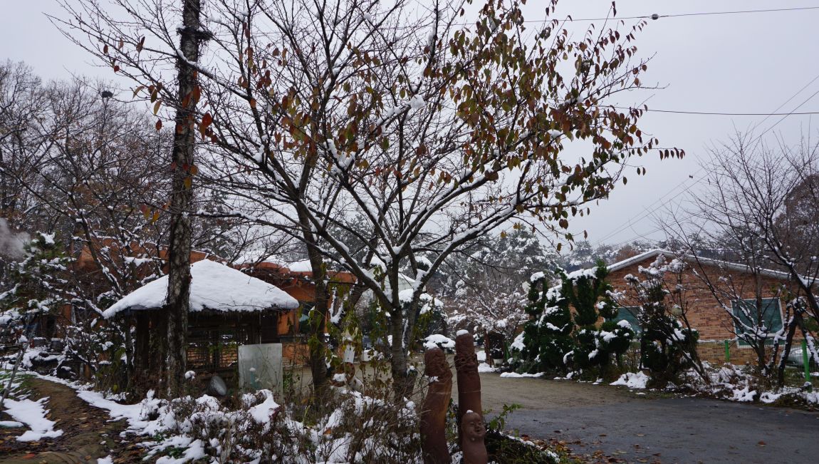 DSC06232.JPG