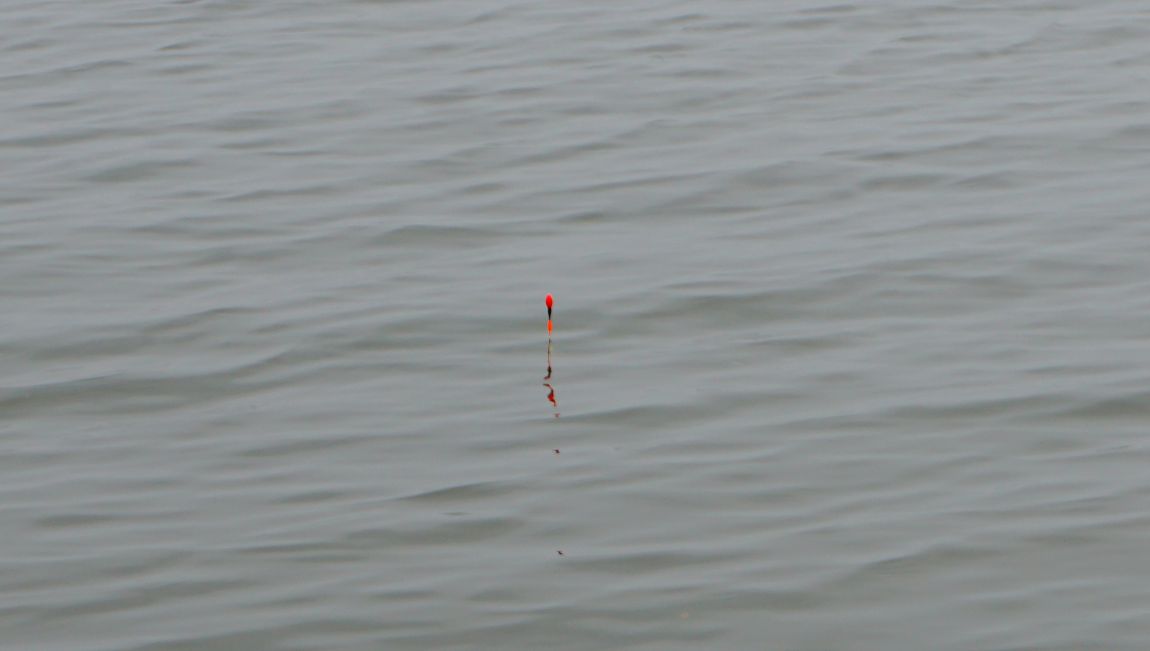 DSC06251.JPG