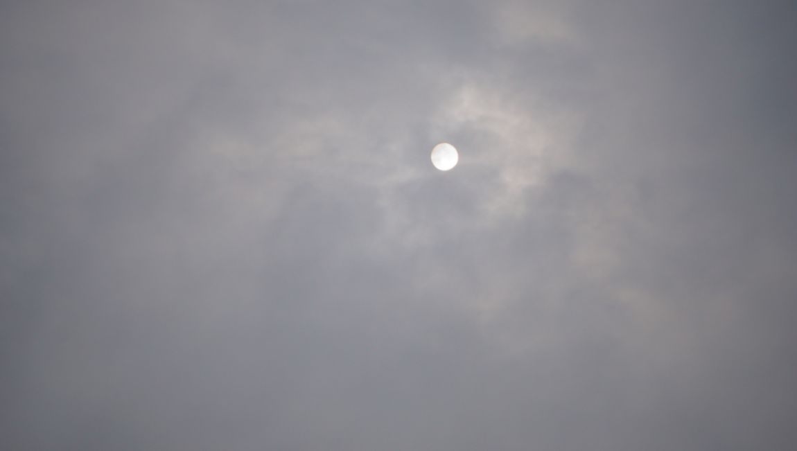 DSC06253.JPG