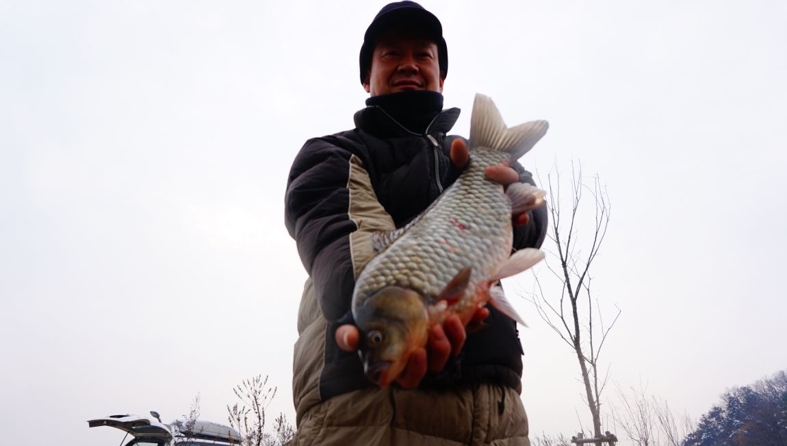 DSC06287.JPG