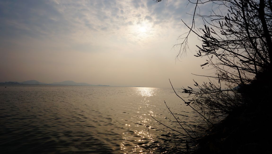 DSC06310.JPG