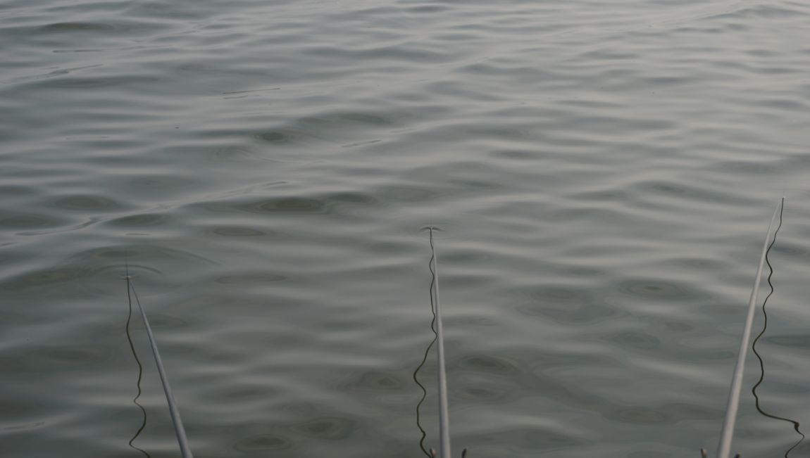 DSC06320.JPG