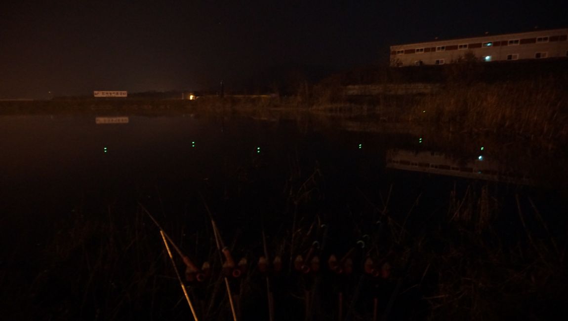 DSC06664.JPG