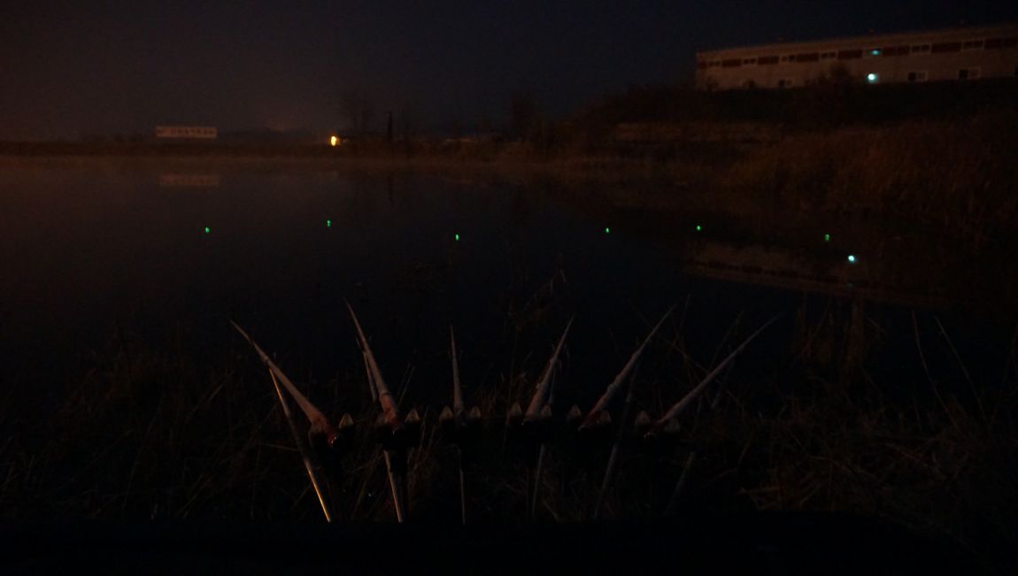 DSC06688.JPG