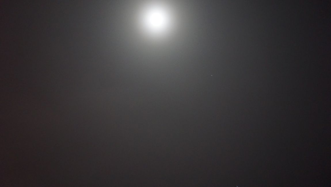 DSC06718.JPG