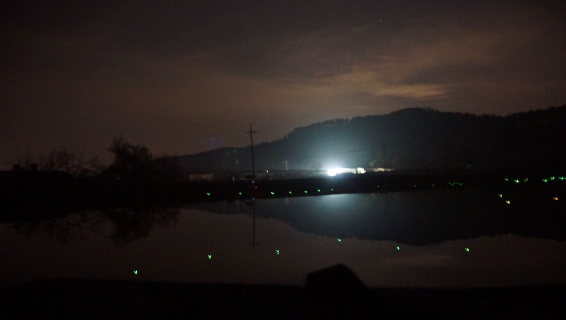 DSC06885.JPG