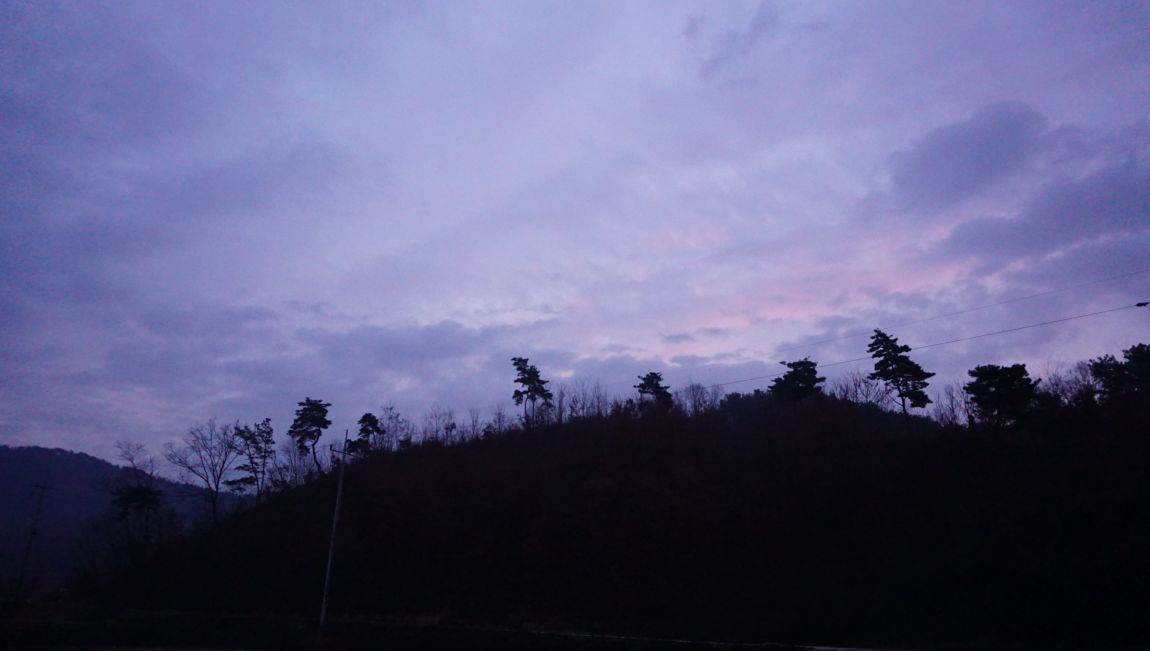 DSC06905.JPG