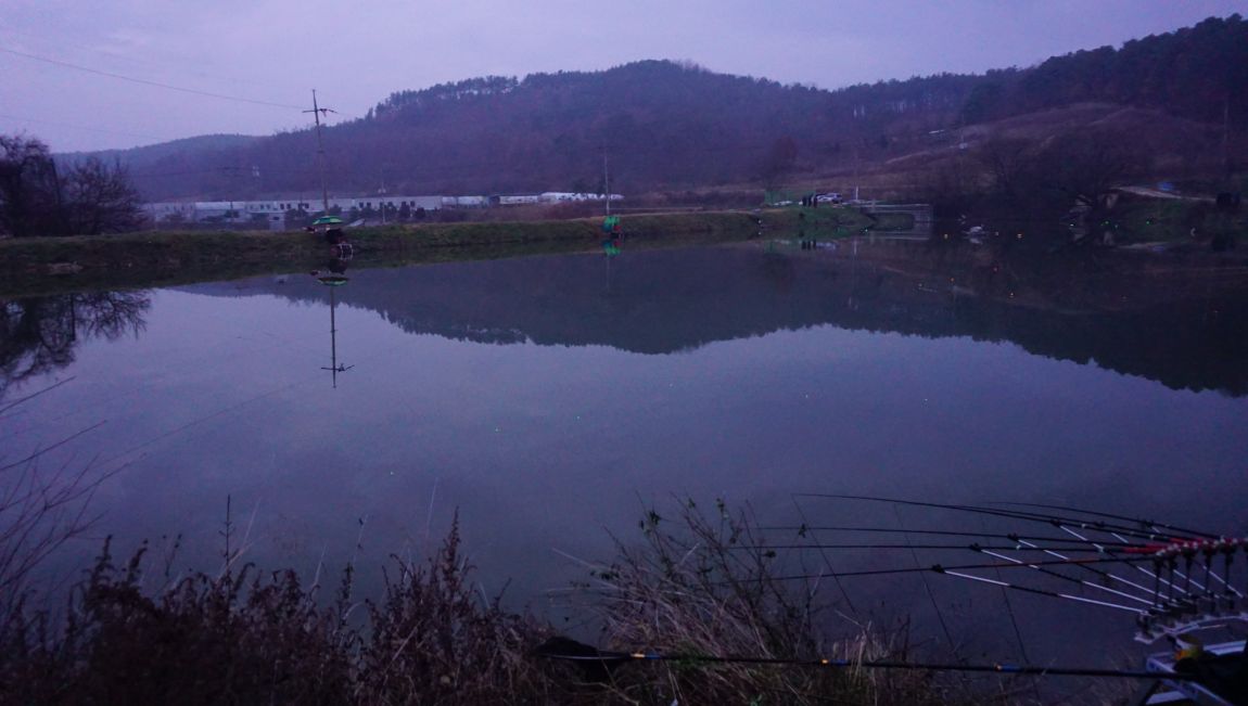 DSC06907.JPG