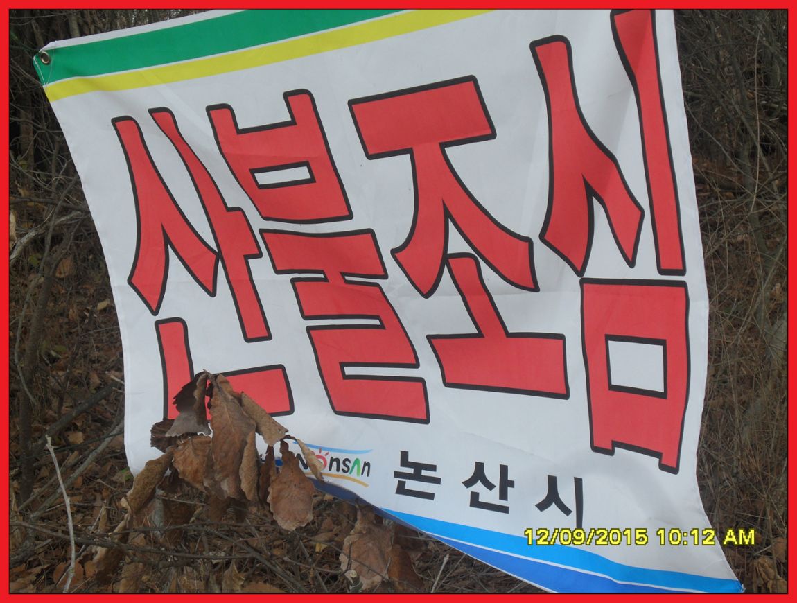 SDC17959.jpg