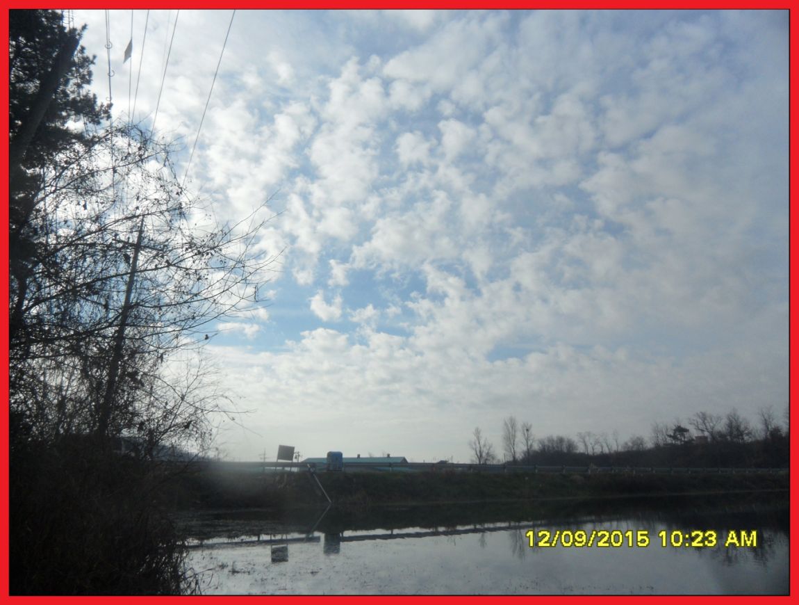 SDC17963.jpg
