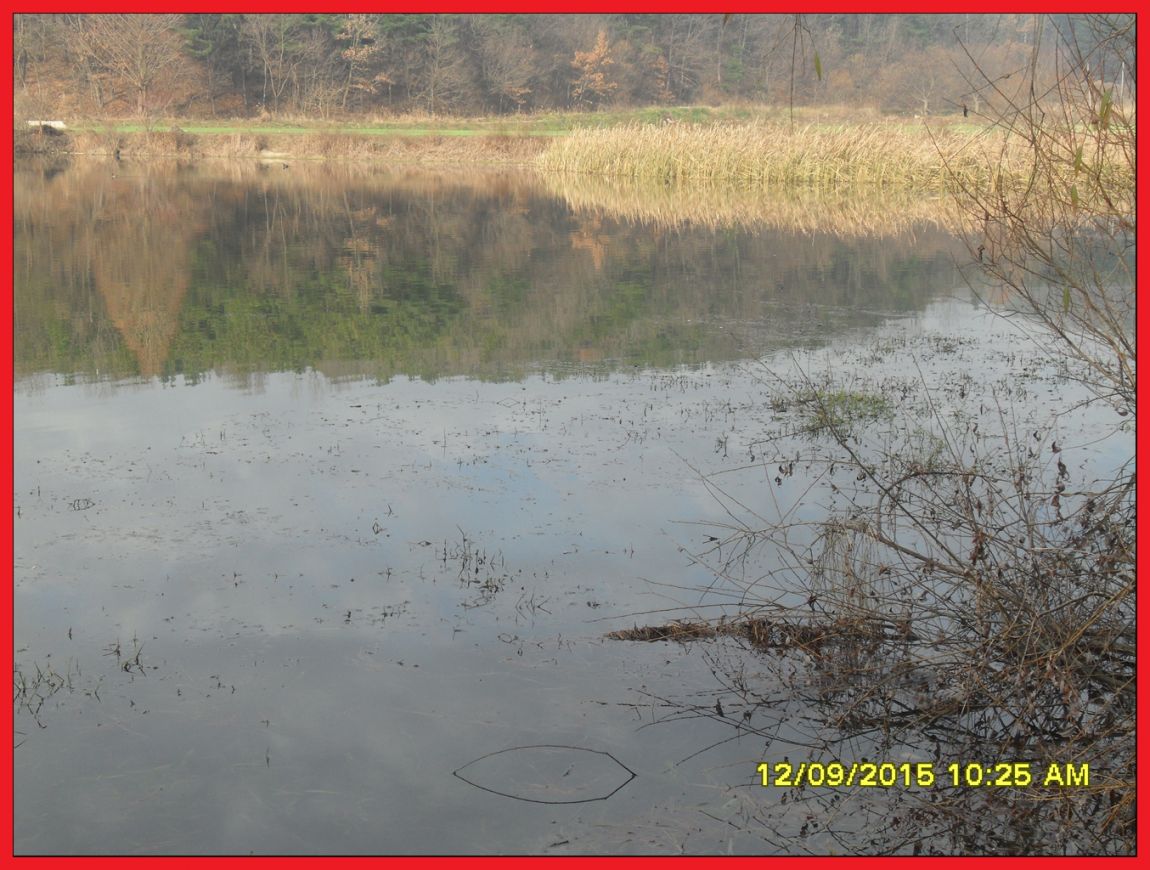 SDC17964.jpg