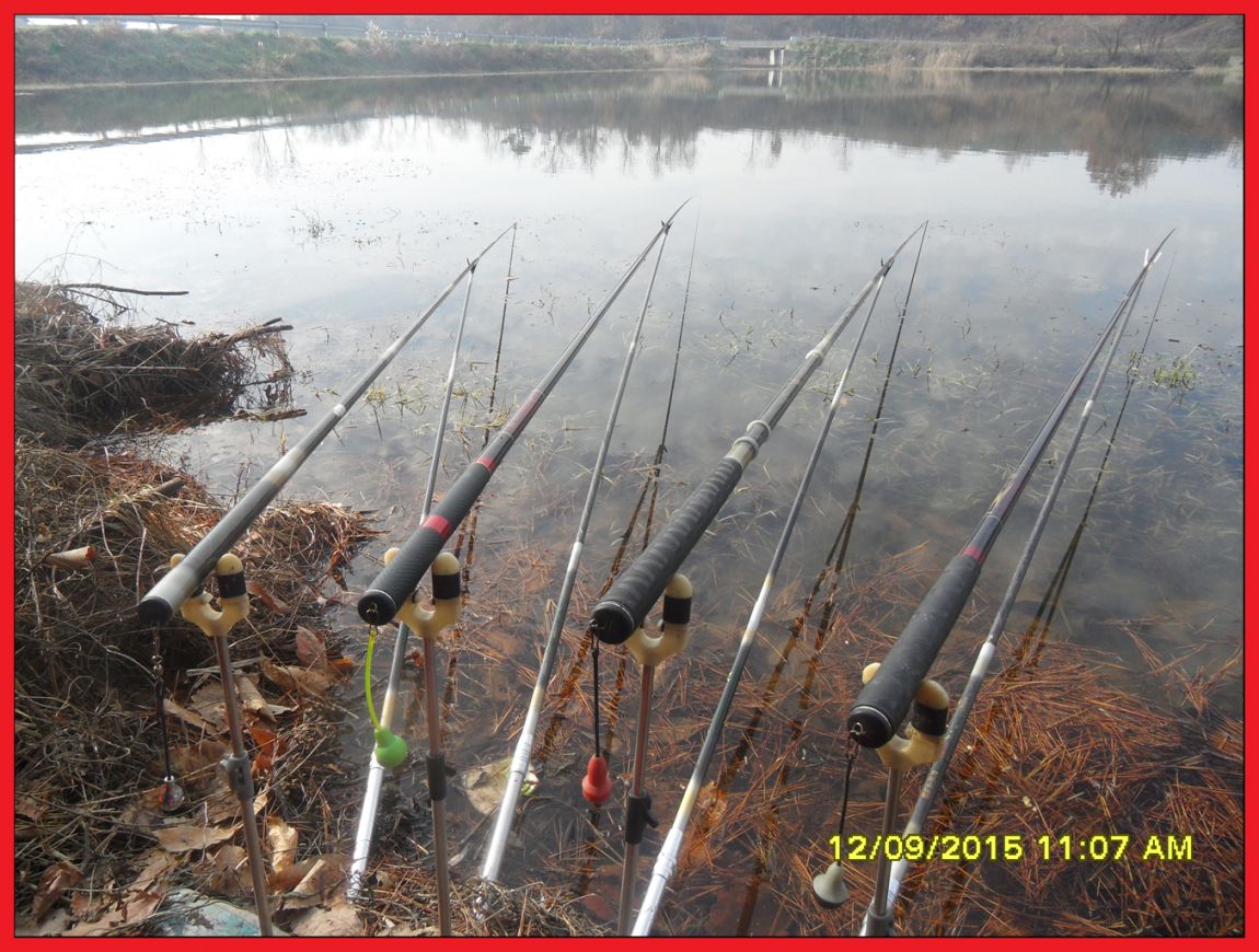 SDC17969.jpg
