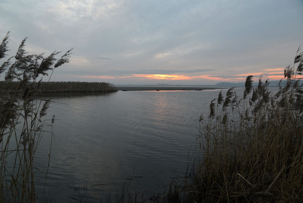 KJS_9329.jpg