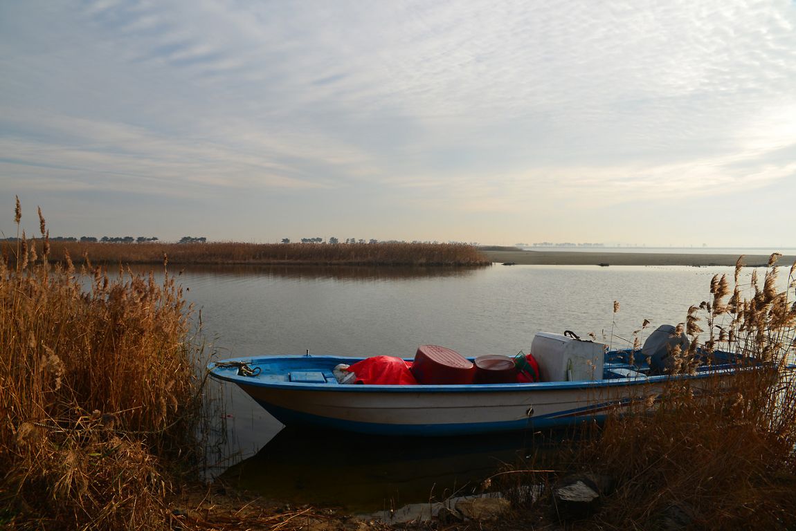 KJS_9358.jpg