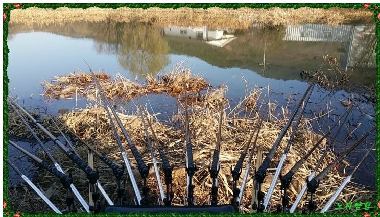 2015-12-14 17;28;28.jpg