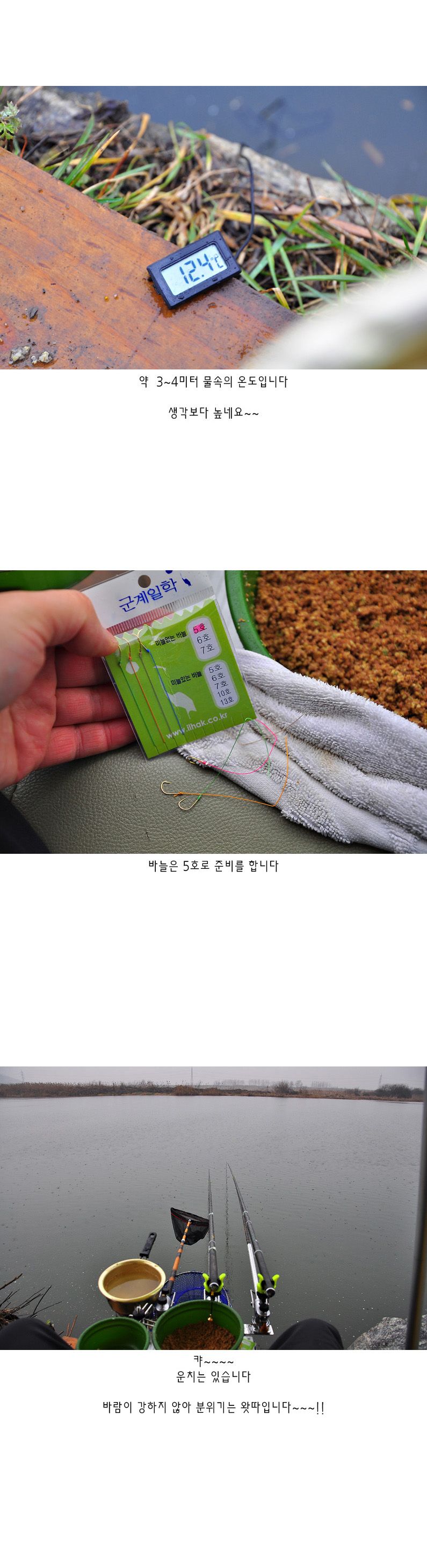 ����õ - 03.jpg