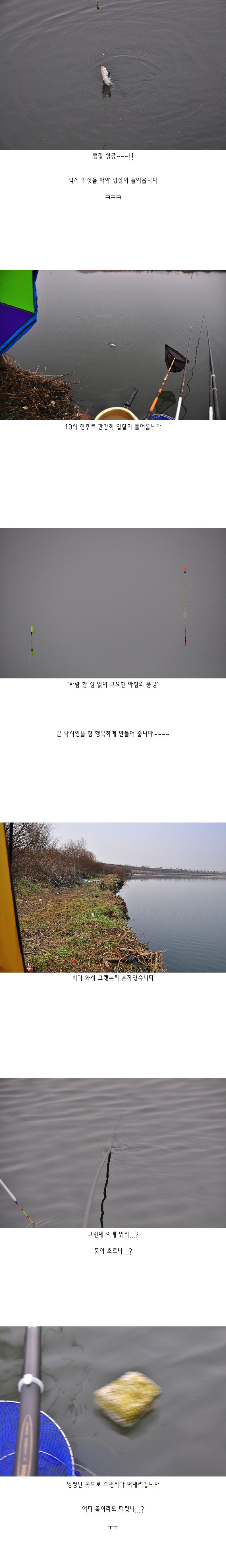 ����õ - 06.jpg