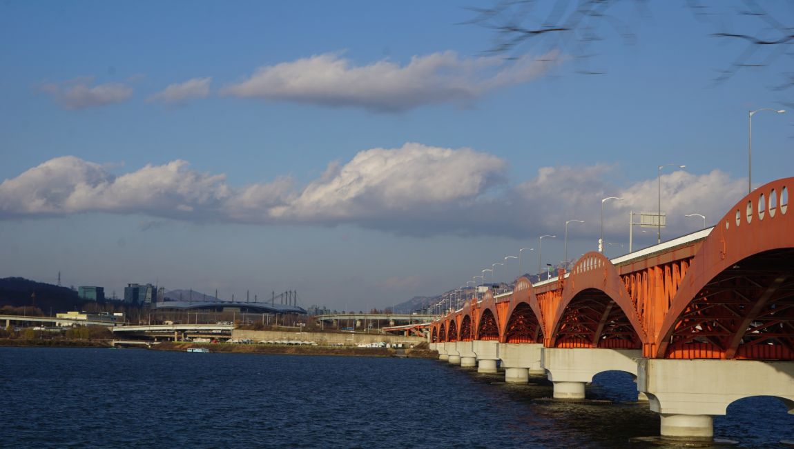 DSC08645.JPG