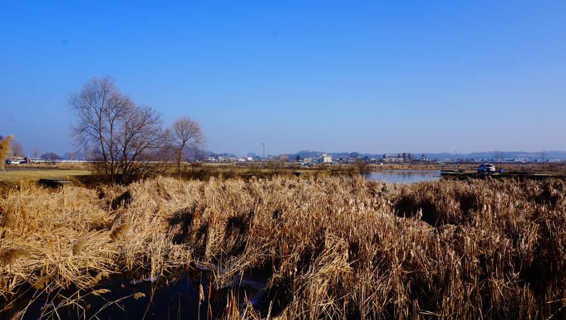 DSC08678.JPG