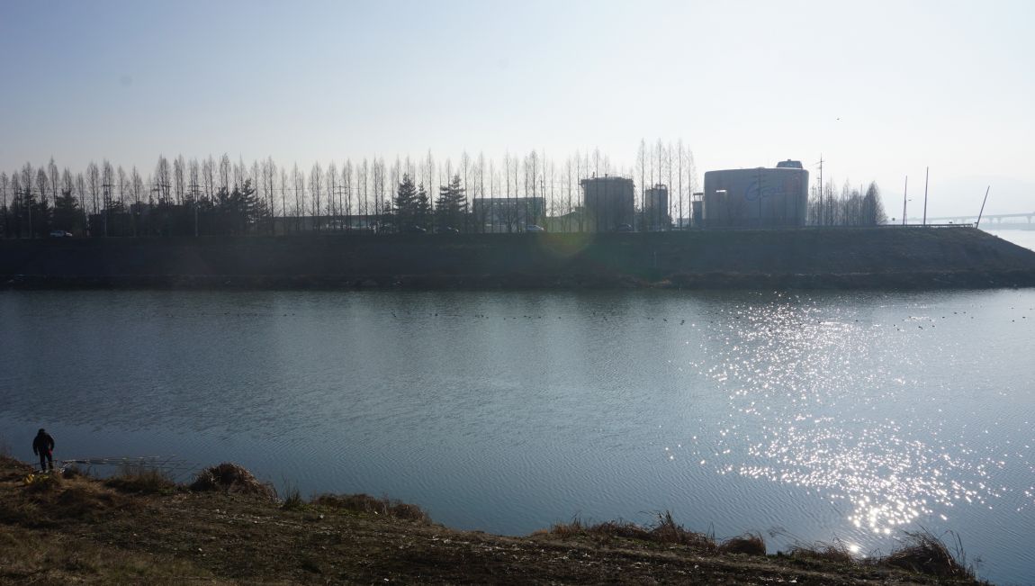 DSC08695.JPG