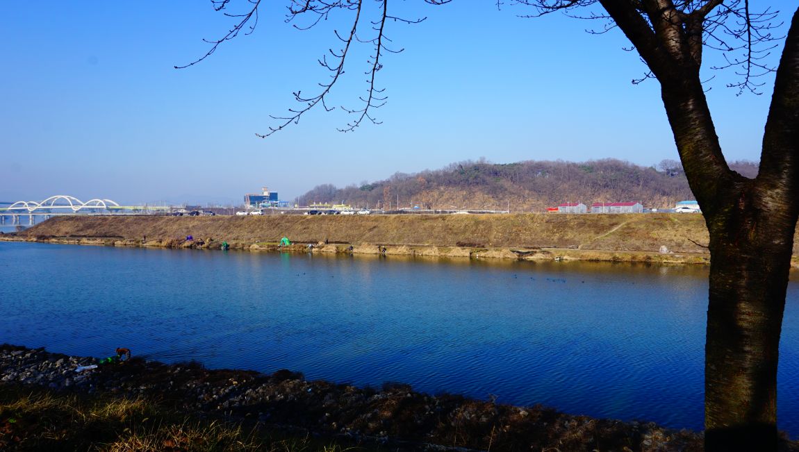 DSC08698.JPG