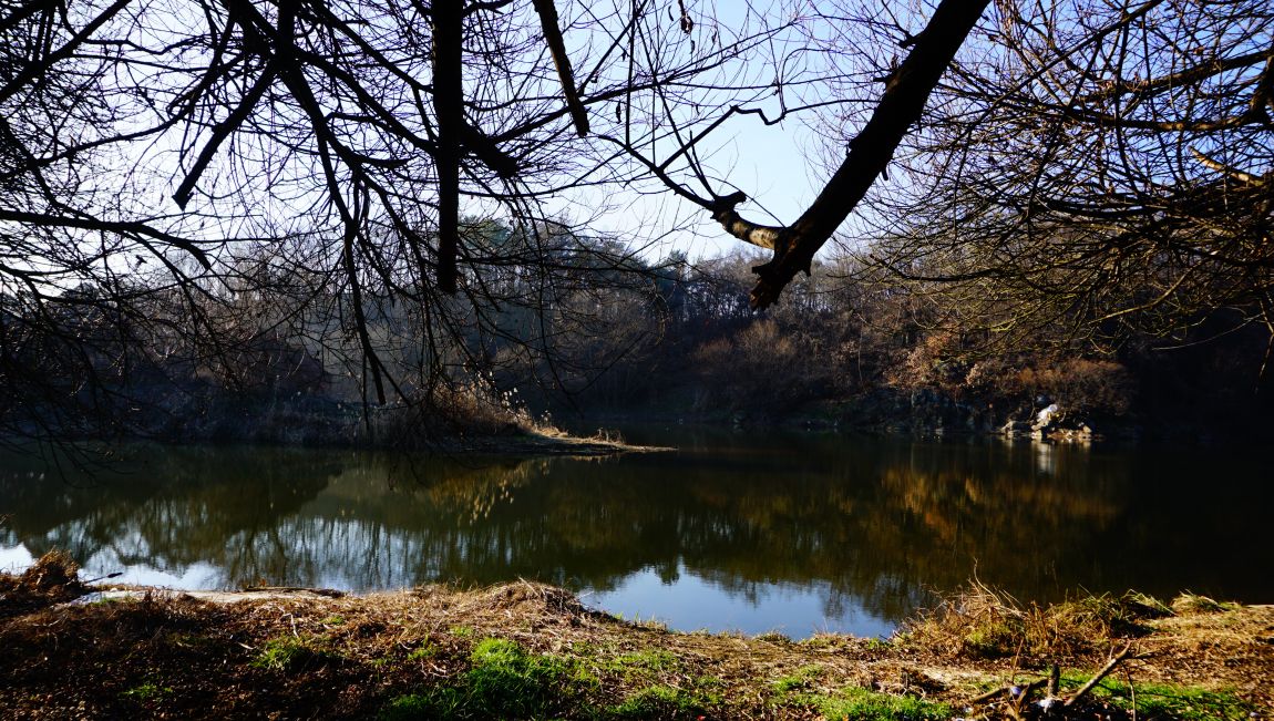 DSC08740.JPG