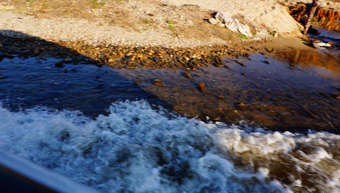 DSC08749.JPG