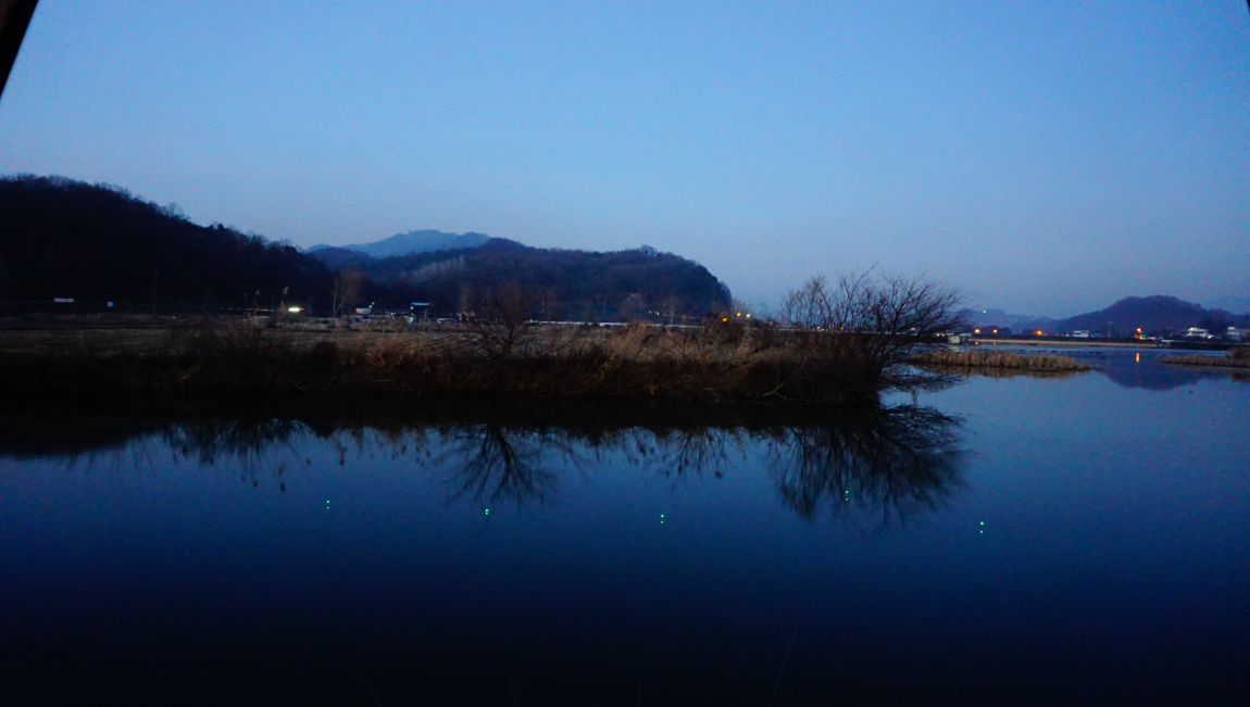 DSC08805.JPG