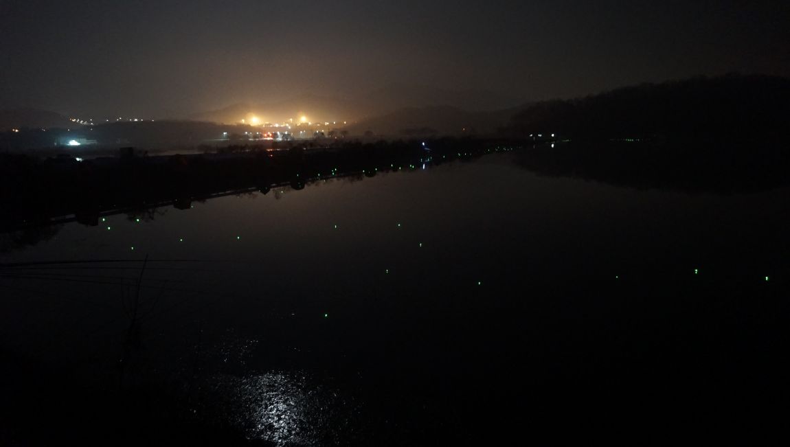 DSC08891.JPG