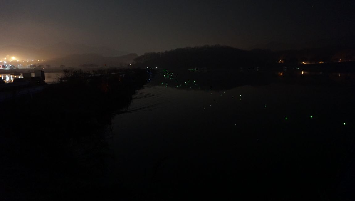 DSC08895.JPG