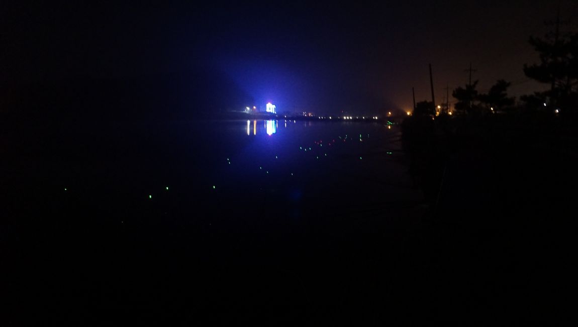 DSC08897.JPG