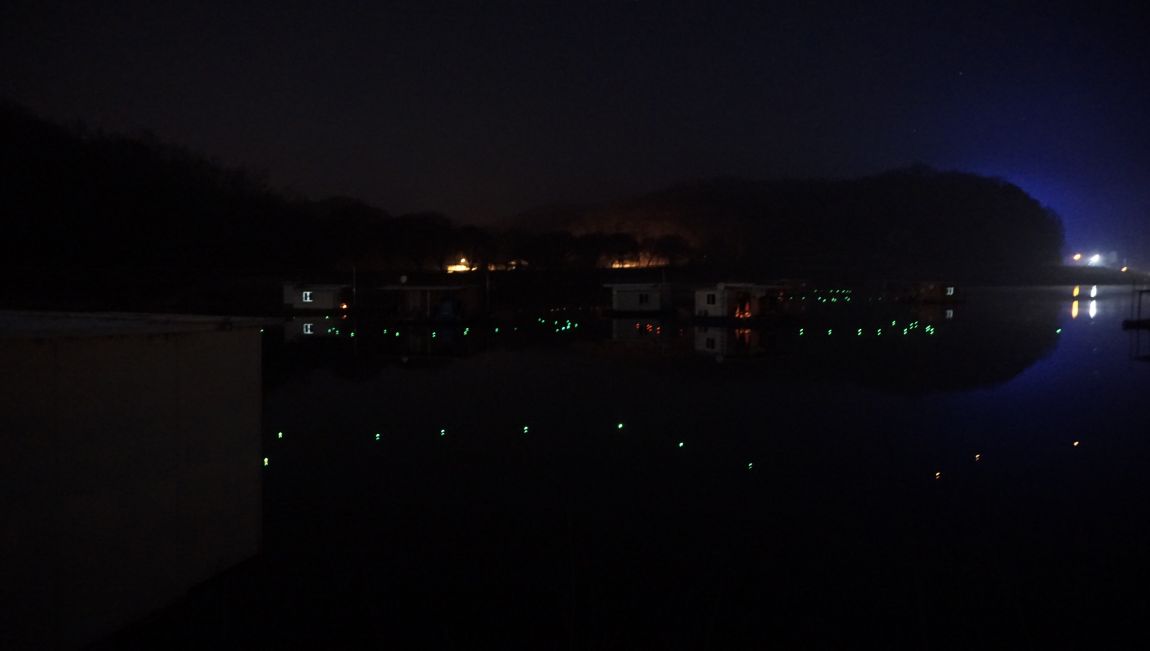 DSC08912.JPG