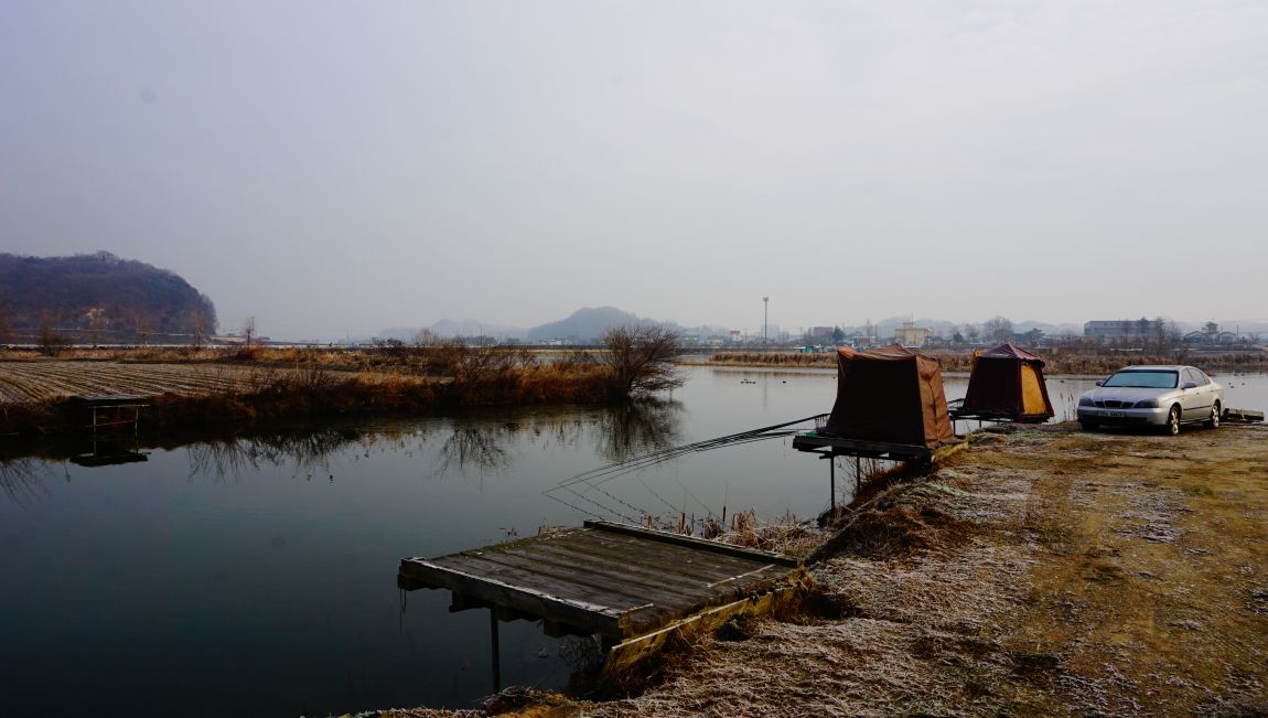 DSC08935.JPG