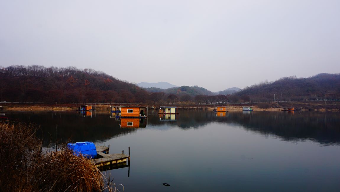 DSC08941.JPG
