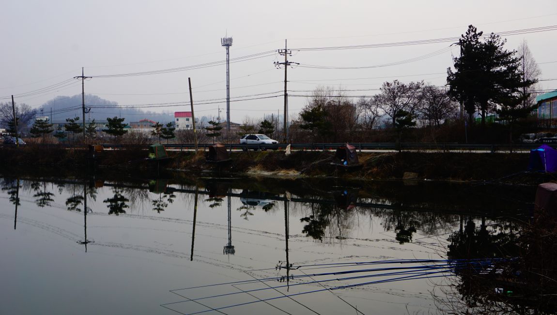DSC08951.JPG