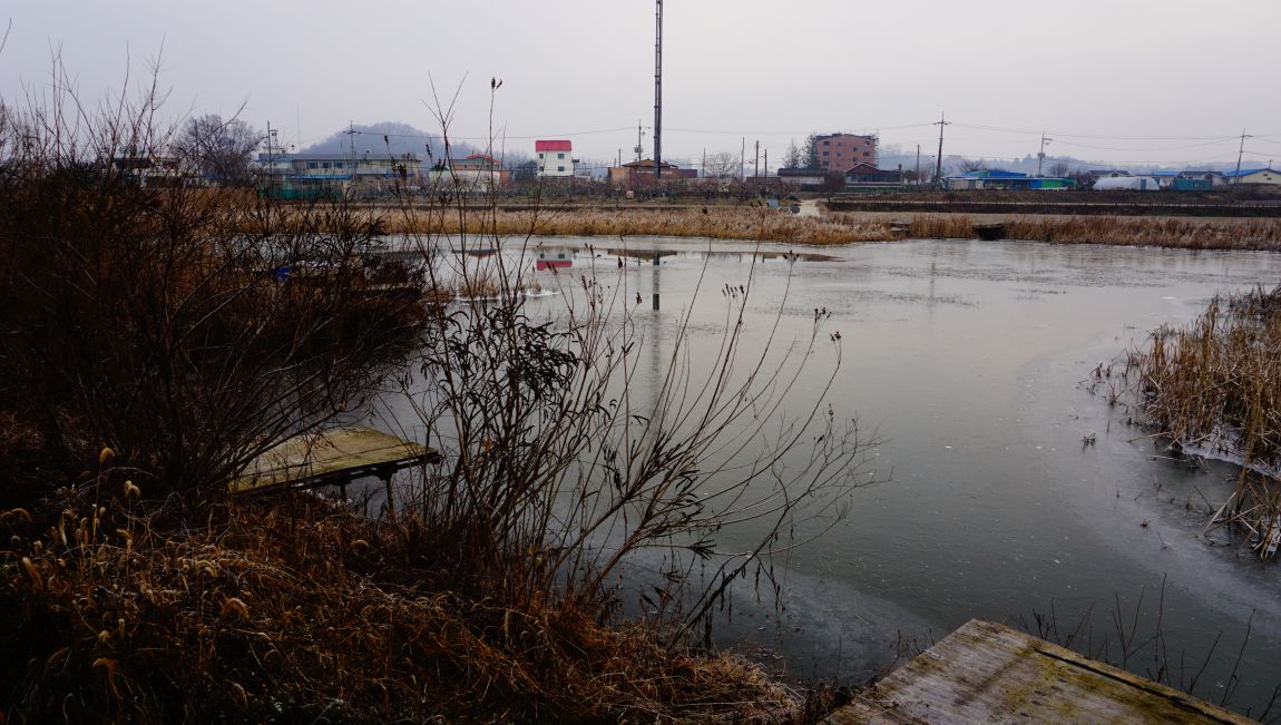 DSC08958.JPG