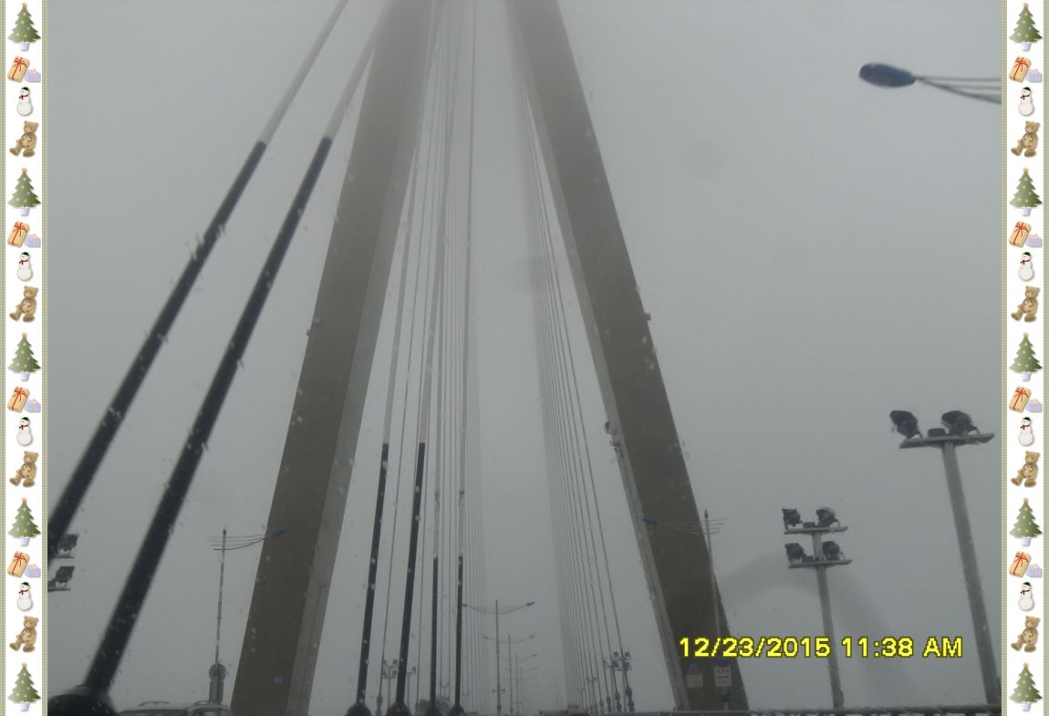 SDC18087.jpg
