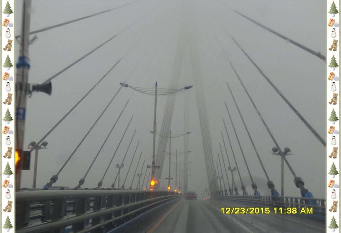 SDC18088.jpg