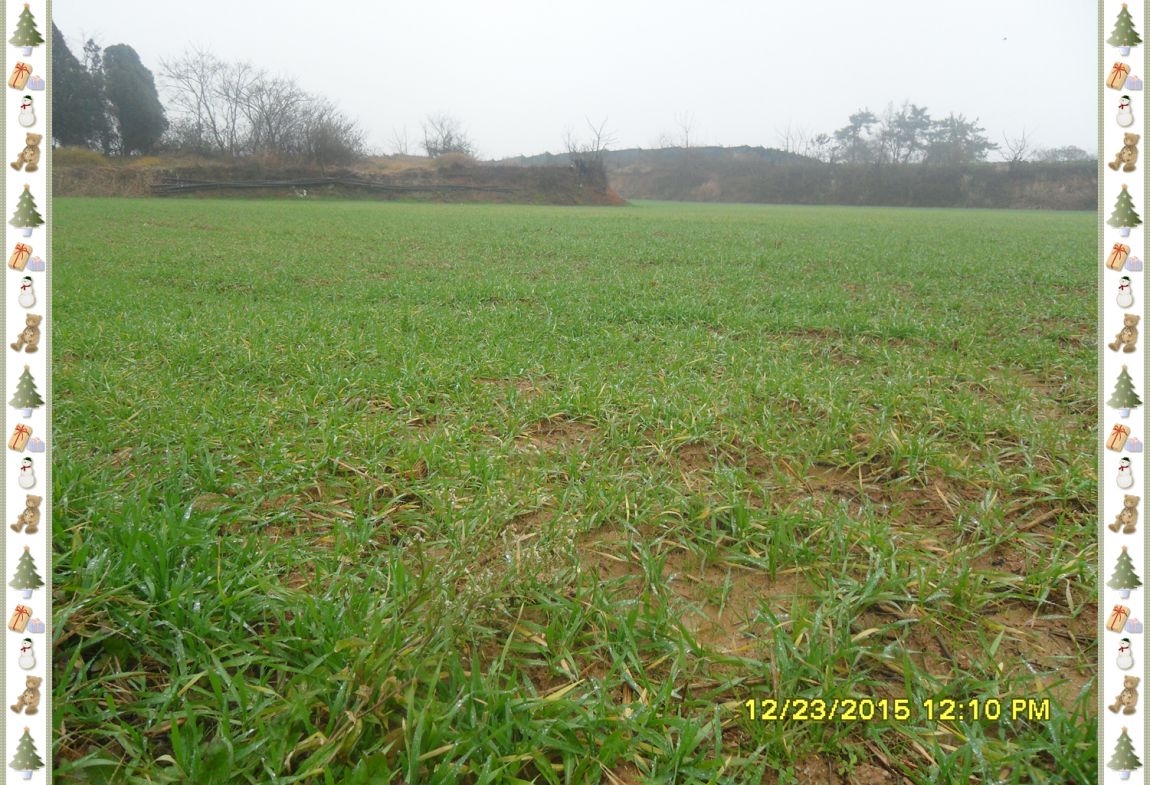 SDC18093.jpg