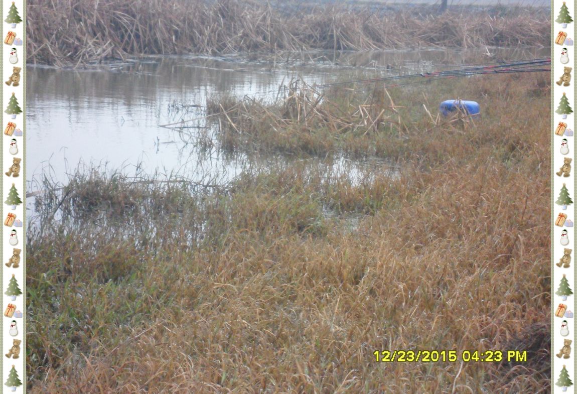 SDC18104.jpg